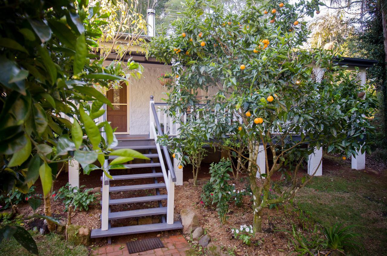 Kidd Street cabañas Mount Tamborine Exterior foto